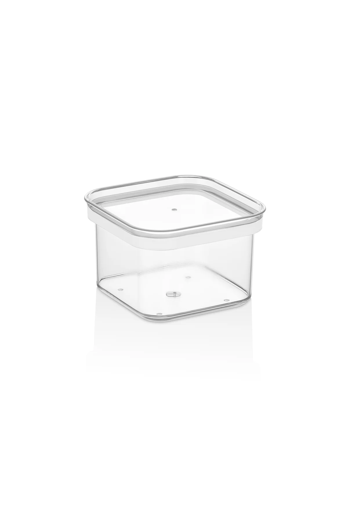 ORGANİZERS GOLD SAKLAMA KABI (0,45 Lt.)